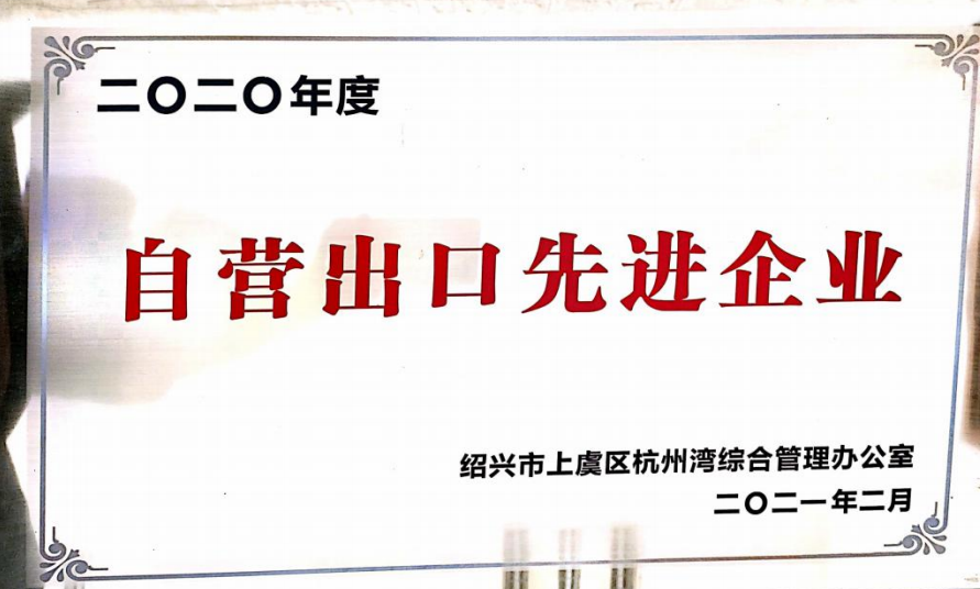 自营出口先进企业-2020