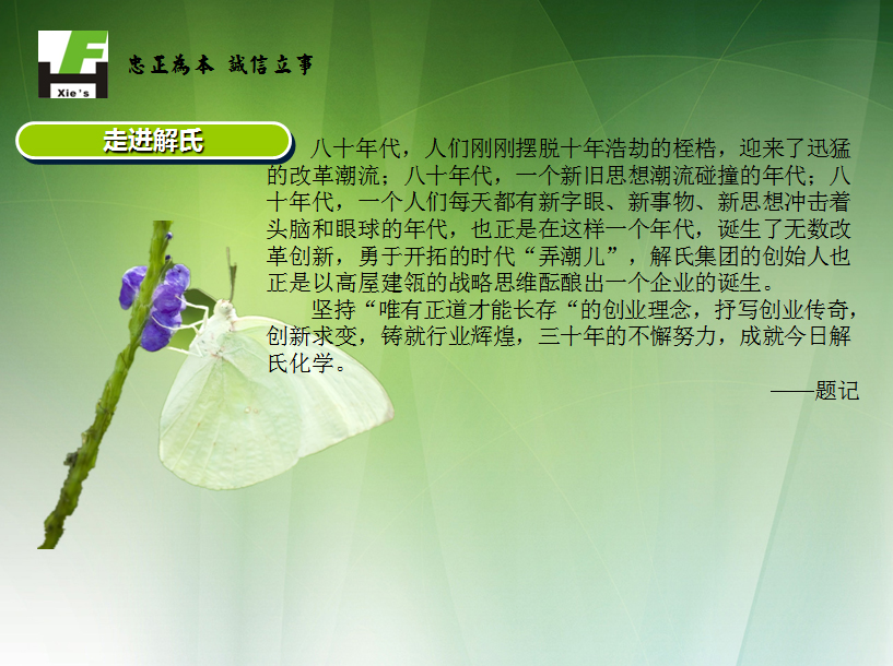 企业文化